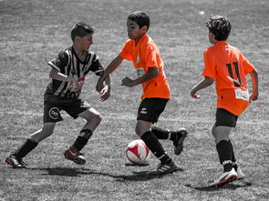 华体会app功能-NBA最佳新秀竞争激烈 三人数据旗鼓相当，nba最佳新秀含金量  第3张